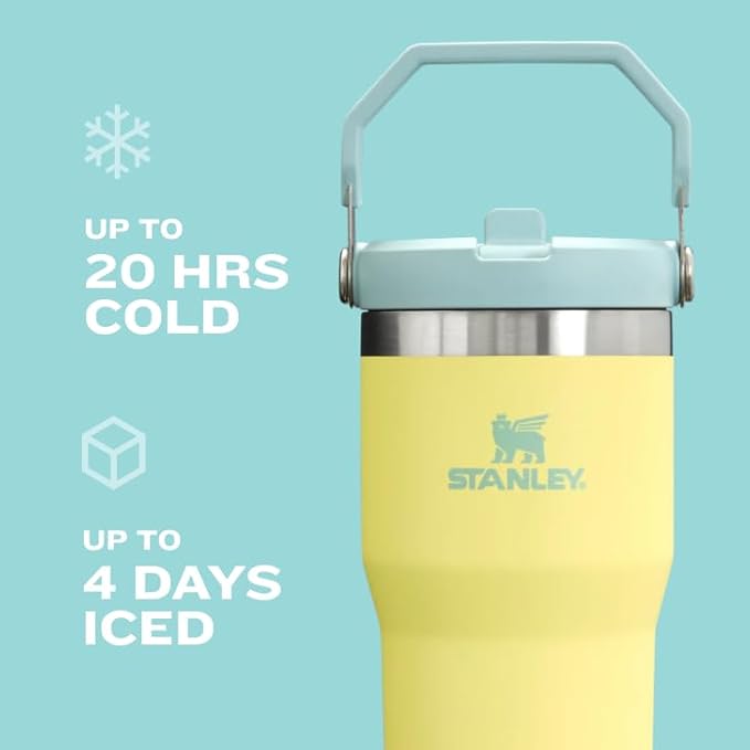 STANLEY IceFlow Flip Straw Tumbler with Handle 30 oz | Twist On Lid and Flip Up Straw | Leak Resistant Water Bottle | Insulated Stainless Steel |BPA-Free | Cream