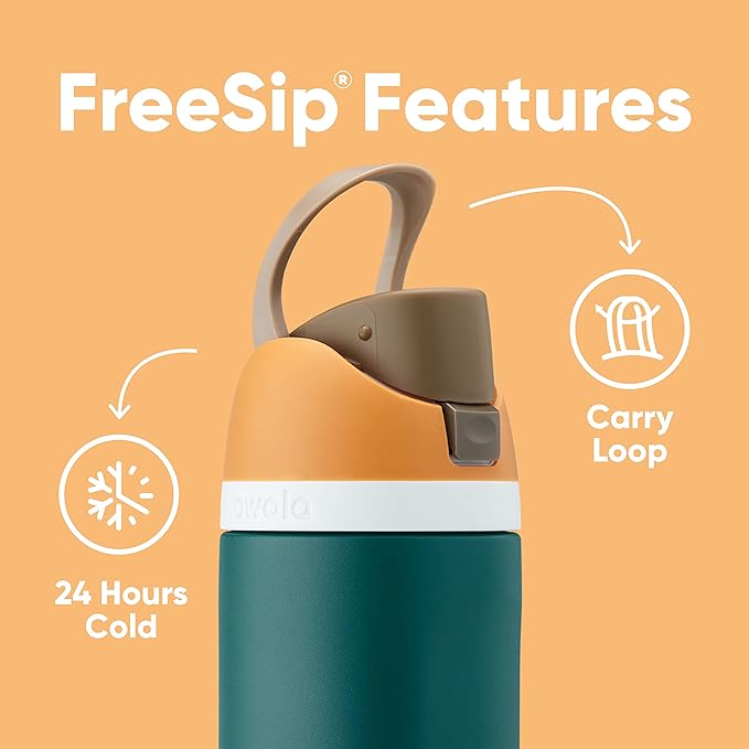 Owala FreeSip Insulated Stainless Steel Water Bottle with Straw, BPA-Free Sports Water Bottle, Great for Travel, 24 Oz, Boneyard